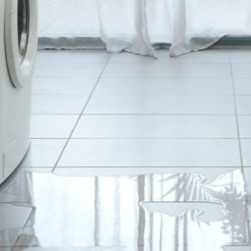 Appliance Leak Cleanup in Cedar Mill, OR